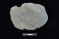 藏品(網墜)的圖片