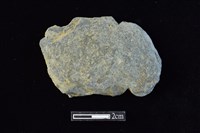 藏品(網墜)的圖片