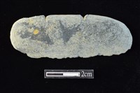 藏品(網墜)的圖片