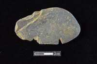 藏品(網墜)的圖片