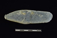 藏品(網墜)的圖片