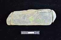 藏品(網墜)的圖片