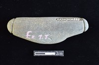 藏品(網墜)的圖片