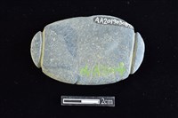 藏品(網墜)的圖片