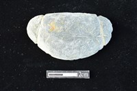 藏品(網墜)的圖片