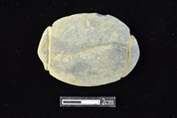 藏品(網墜)的圖片