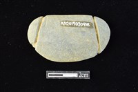 藏品(網墜)的圖片