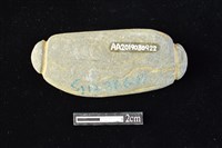 藏品(網墜)的圖片