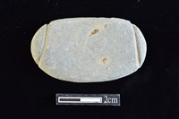 藏品(網墜)的圖片