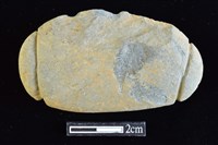 藏品(網墜)的圖片