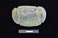 藏品(網墜)的圖片