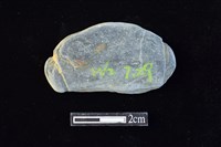 藏品(網墜)的圖片