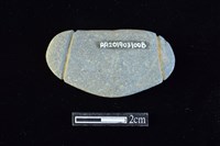 藏品(網墜)的圖片