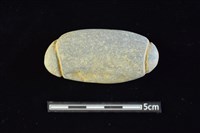 藏品(網墜)的圖片