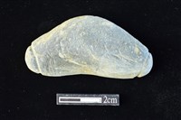 藏品(網墜)的圖片