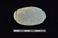 藏品(網墜)的圖片