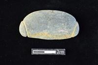 藏品(網墜)的圖片