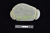 藏品(網墜)的圖片