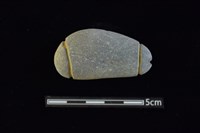 藏品(網墜)的圖片