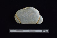 藏品(網墜)的圖片