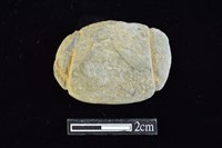 藏品(網墜)的圖片