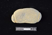 藏品(網墜)的圖片