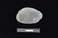 藏品(網墜)的圖片