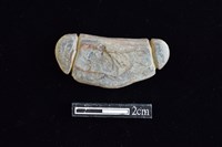 藏品(網墜)的圖片