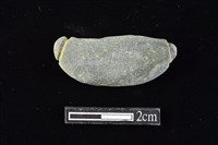 藏品(網墜)的圖片