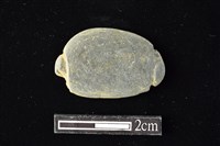 藏品(網墜)的圖片