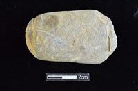 藏品(網墜)的圖片