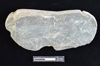 藏品(網墜)的圖片