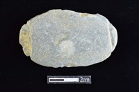 藏品(網墜)的圖片