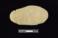 藏品(網墜)的圖片