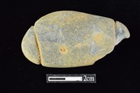 藏品(網墜)的圖片