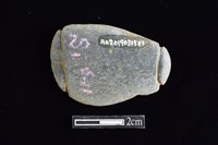 藏品(網墜)的圖片