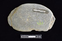 藏品(網墜)的圖片