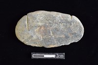 藏品(網墜)的圖片