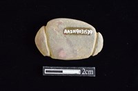 藏品(網墜)的圖片