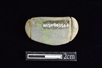 藏品(網墜)的圖片