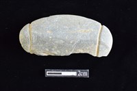 藏品(網墜)的圖片