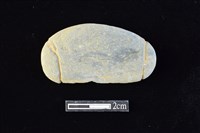 藏品(網墜)的圖片