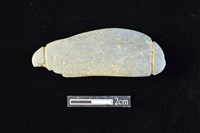 藏品(網墜)的圖片