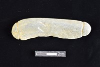 藏品(網墜)的圖片