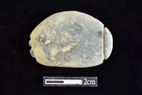 藏品(網墜)的圖片