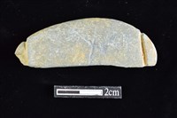 藏品(網墜)的圖片