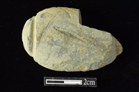 藏品(網墜)的圖片