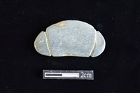 藏品(網墜)的圖片