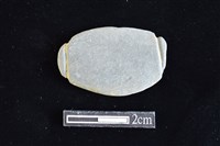 藏品(網墜)的圖片
