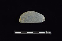 藏品(網墜)的圖片